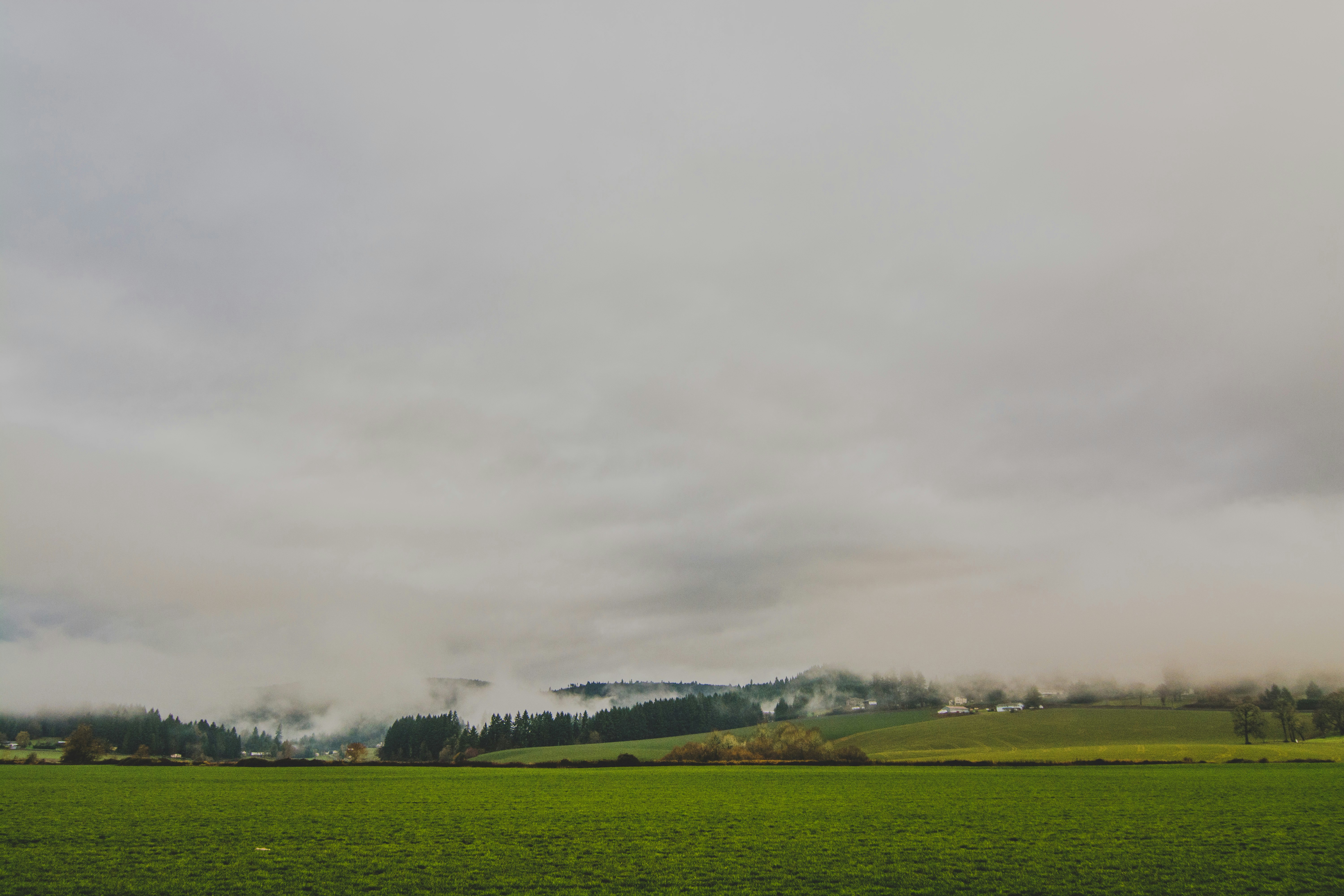 green grass field under cloudy sky